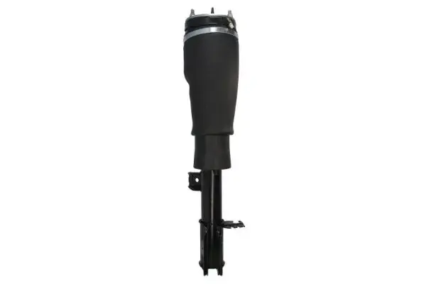 Амортизатор з пневмоподушкою передн лів LAND ROVER RANGE ROVER III 3.0D-5.0 03.02-08.12 MAGNUM TECHNOLOGY APL017MT (фото 1)