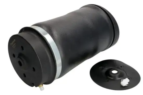Пневмоподушка задн Лів/Прав MERCEDES R (W251, V251) 3.0-6.2 08.05-12.14 MAGNUM TECHNOLOGY MZM010MT