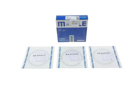 Батарея акумуляторна MAHLE 009 81 N2
