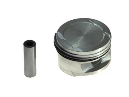 Поршень MAHLE 0116900