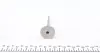 Клапан (впуск) Renault Kangoo 1.5dci 01- MAHLE 021 VE 31060 000 (фото 2)