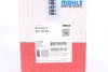Engine piston. Поршень двигателя MAHLE 0222600 (фото 5)