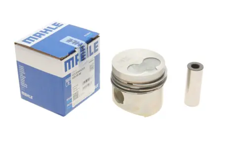 Engine piston. Поршень двигателя MAHLE 0295500