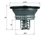 Термостат MAHLE THD 3 82 (фото 1)