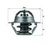 Thermostat, cooling system. Термостат охлаждающей жидкости MAHLE TX10089D (фото 1)
