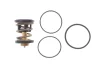 Термостат BMW 5 (G30/F90) 3.0d (B57) 16-20 (91°C) MAHLE TX49691D (фото 1)