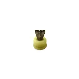 Fuel filter, cartridge. Фильтр топливный, вставка MAN 81154030003