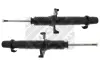 Амортизатор MAPCO 402423 (фото 1)