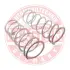 Пружина ходовой части MASTER SPORT 21082902712SET2MS (фото 1)