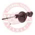 Амортизатор MASTER SPORT 310767PCSMS (фото 1)