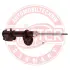 Амортизатор MASTER SPORT 313558PCSMS (фото 1)