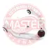 Рычаг независимой подвески колеса, подвеска колеса MASTER SPORT 34942PCSMS (фото 1)