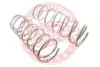 Пружина ходовой части MASTER SPORT 4017706SET2MS (фото 1)