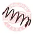 Пружина ходовой части MASTER SPORT 4063464PCSMS (фото 4)