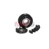 Шків компресора кондиціонера MASTER SPORT KP0310 (фото 1)