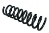 Пружина ходовой части MAXGEAR 600251 (фото 1)