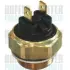 Radiator fan temperature switch. Датчик температуры вентилятора охлаждающей жидкости MEAT&DORIA 7472643 (фото 1)