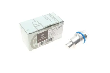 Заглушка клапана тиску оливи MB Sprinter/Vito OM651 09- MERCEDES-BENZ 0019905317