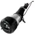 Shock absorber, suspension. Амортизатор, ходовая часть MERCEDES-BENZ 221320931380 (фото 1)