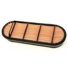 Air filter, by-pass. Фильтр воздушный, запасный MERLO 093678
