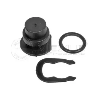 Sealing Plug, coolant flange. Пробка ущільнювальна, фланець охолоджуючої рідини MEYLE 1001210080
