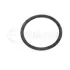 Gasket, coolant flange. Прокладка, фланець охолоджуючої рідини MEYLE 1001210091 (фото 1)