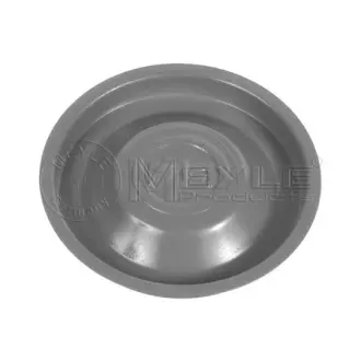 Cover Plate, releaser. Накладка, підшипника вижимного MEYLE 1001410001