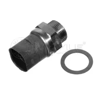Radiator fan temperature switch. Датчик температуры вентилятора охлаждающей жидкости MEYLE 1009590020