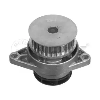 Water Pump. Насос водяний MEYLE 1130120049