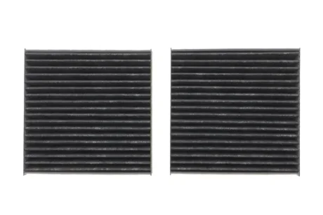 Фільтр салону BMW X3 (F25)/X4 (F26) 2.0/3.0D 10-18 (вугільний) (к-кт 2шт.) MEYLE 3123260023PD