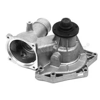 Water Pump. Насос водяний MEYLE 3130113100