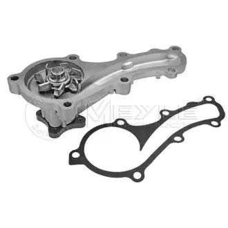 Water Pump. Насос водяний MEYLE 36132200005