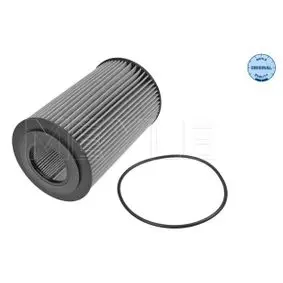 Oil filter, cartridge. Фильтр масляный, вставка MEYLE 5343230002