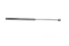 Амортизатор багажника MITSUBISHI (вир-во Monroe) MONROE ML5353 (фото 1)