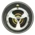 Термостат Opel Arena/Renault Clio II/Kangoo/Laguna II/Trafic 1.9D/dTi/dCi 82- (82 C) MOTORAD 204182K (фото 4)