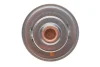Термостат Nissan Pick Up 2.5D/TD 98-05/Mitsubishi L300 2.5TD 87-04 (75°C) MOTORAD 233-75JK (фото 3)