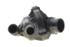 Термостат BMW 3 (E90)/X5 (E70)/X6 (E71/E72) 3.0i (N55) 06-14 (103°C) MOTORAD 790103 (фото 4)