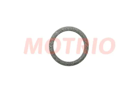Прокладка приймальної труби глушника Renault Logan, Megane II, Laguna II, Duster, Clio II Motrio MOTRIO 8660000309
