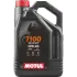 Олива для 4-тактних двигунів MOTUL 104092 (фото 1)