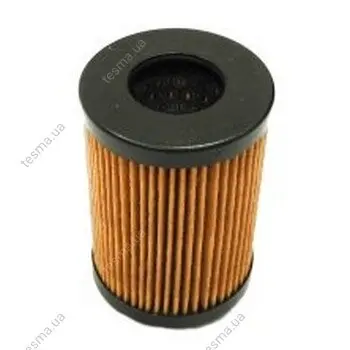 Hydraulic filter, cartridge. Фильтр гидравлический, вставка MP FILTRI F41P25M (фото 1)