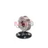 Шків компресора SANDEN TRSE09 MSG MASTER SPORT KP-0011 (фото 2)