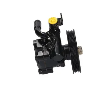 Насос ГПК новий Renault Vel Satis 02-09. Nissan Maxima A32 94-00. Nissan Maxima A33 00-06 MASTER SPORT NI001