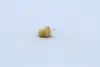 Лампа накаливания 12V 1,5W BX8,5D YELLOW (пр-во Narva) NARVA 17050CP (фото 3)