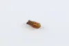 Лампа накаливания WY5W 12V 5W W2,1X9,5d AMBER (пр-во Narva) NARVA 17169CP (фото 1)