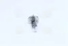 Лампа накаливания H1 12V 55W P14.5s (пр-во Narva) NARVA 48320C1 (фото 4)