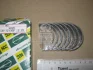 Вкладыш коренной NDC CB1213GP025 (фото 1)