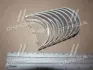 Вкладыши коренные 0.25mm (к-кт на мотор) Honda C25A, C27A NDC MS2210GP025 (фото 1)