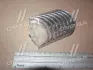 Вкладыш коренной NDC MS2409ASTD (фото 1)