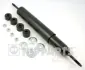 Амортизатор NIPPARTS J5502050G (фото 1)