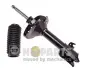 Амортизатор NIPPARTS N5507012G (фото 1)